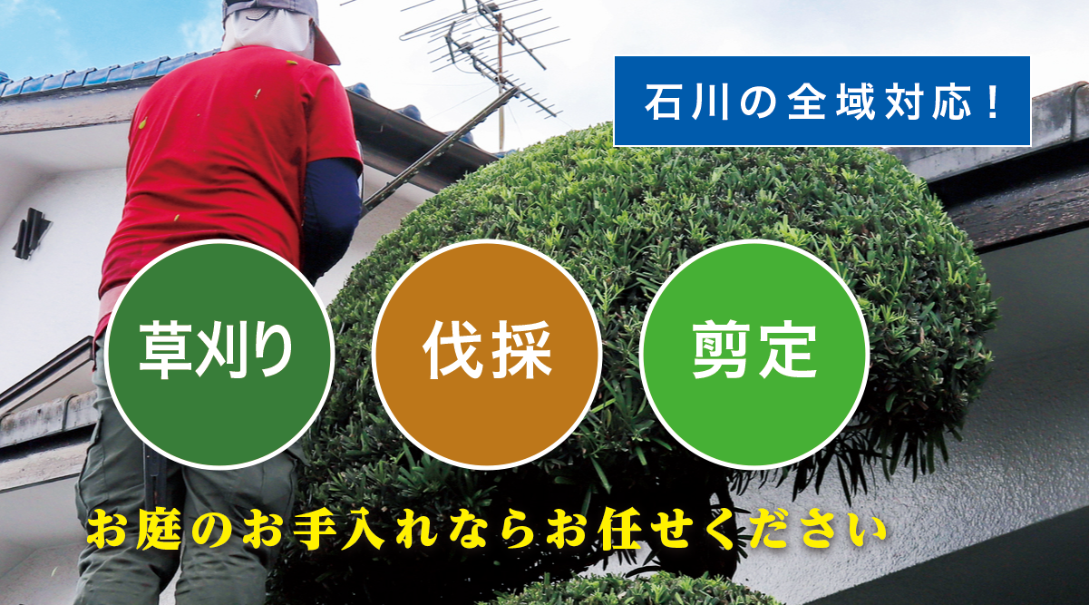 �����s�ő�����E����E���̂Ȃ�u����̑叫�v